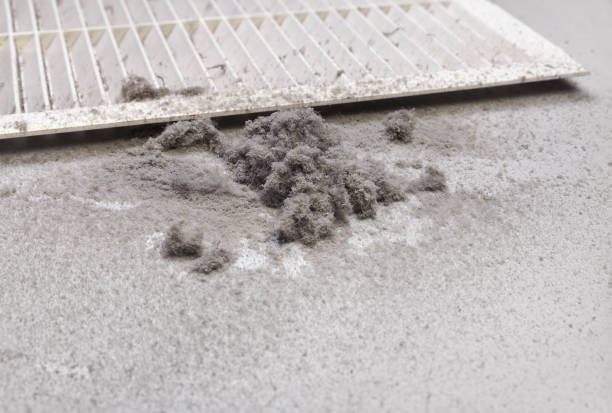 Best Professional Duct Cleaning Services  in Lantana, TX