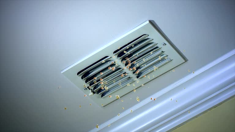 Home Air Vent Cleaning in Lantana, TX